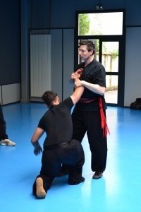 hunggarnancy-artsmartiaux-wushu-kungfu-ericbourbonnais-18juin2016-29    